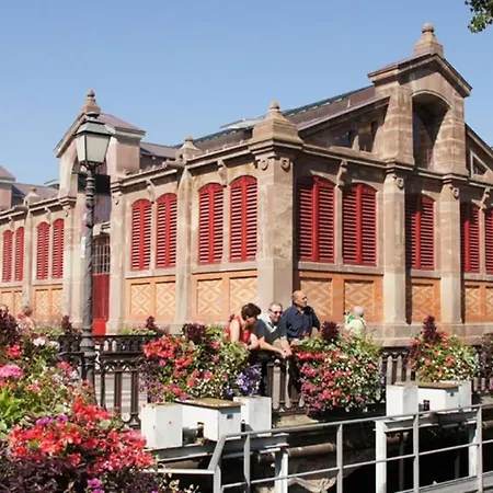 Apartment Historic Center - Belle Alsace - 1 Terrasse - Bookingalsace